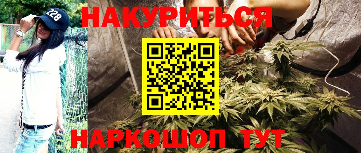 Канабис Bruce Banner Алексеевка